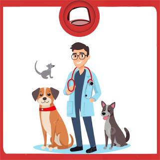 دراسة الطب البيطري