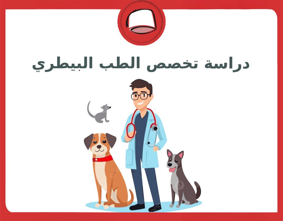 دراسة تخصص الطب البيطري